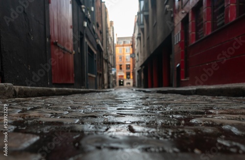 Obraz na plátne Selective focus of a paved street between old houses on a rainy day in Dublin, I