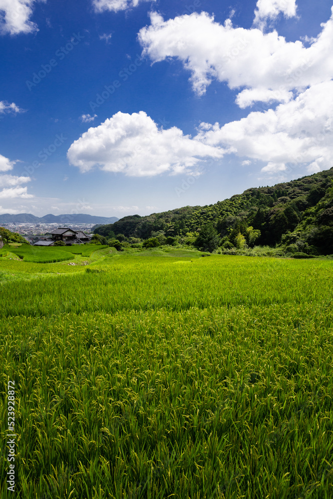 貫の棚田の風景　北九州市小倉南区