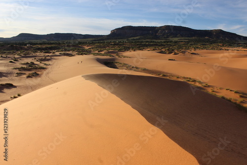 Aerial Photo Coral Pink Sand Dunes