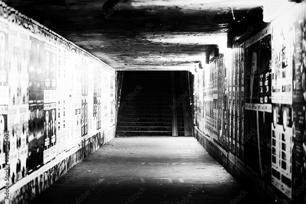 Naklejka premium Grayscale shot of an underground passage with street art on the walls