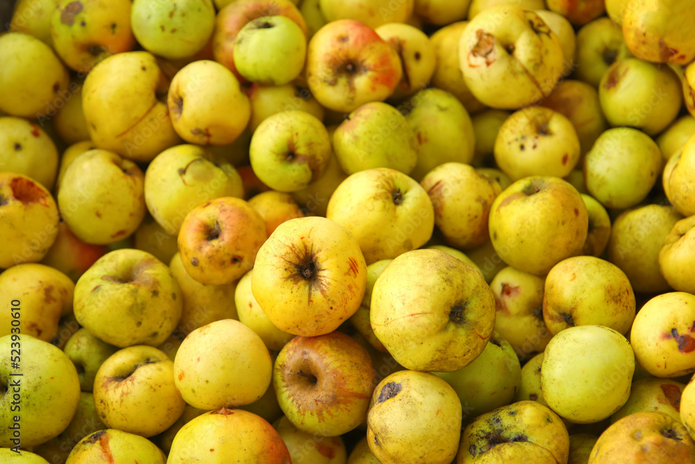 Defocus many yellow fruits background. Green apple texture, lots of green apples. Apples storage. Bunch of green delicious apples in a box in supermarket. Out of focus