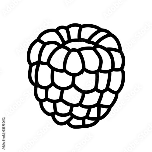 red raspberry ripe fruit line icon vector illustration