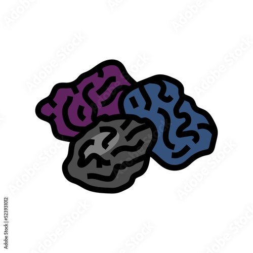 prune dry plum color icon vector illustration