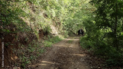 Romanians riding a horse-drawn cart 9 photo