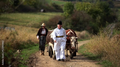 Romanian peasants go by oxcart 10 photo