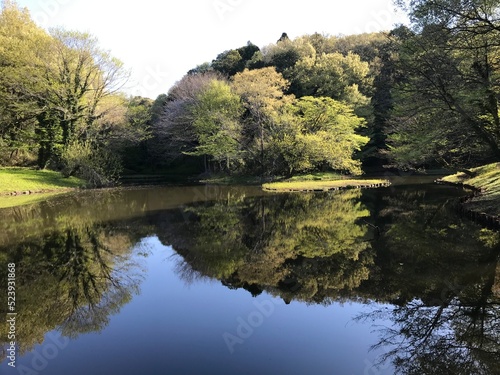 autumn in the park