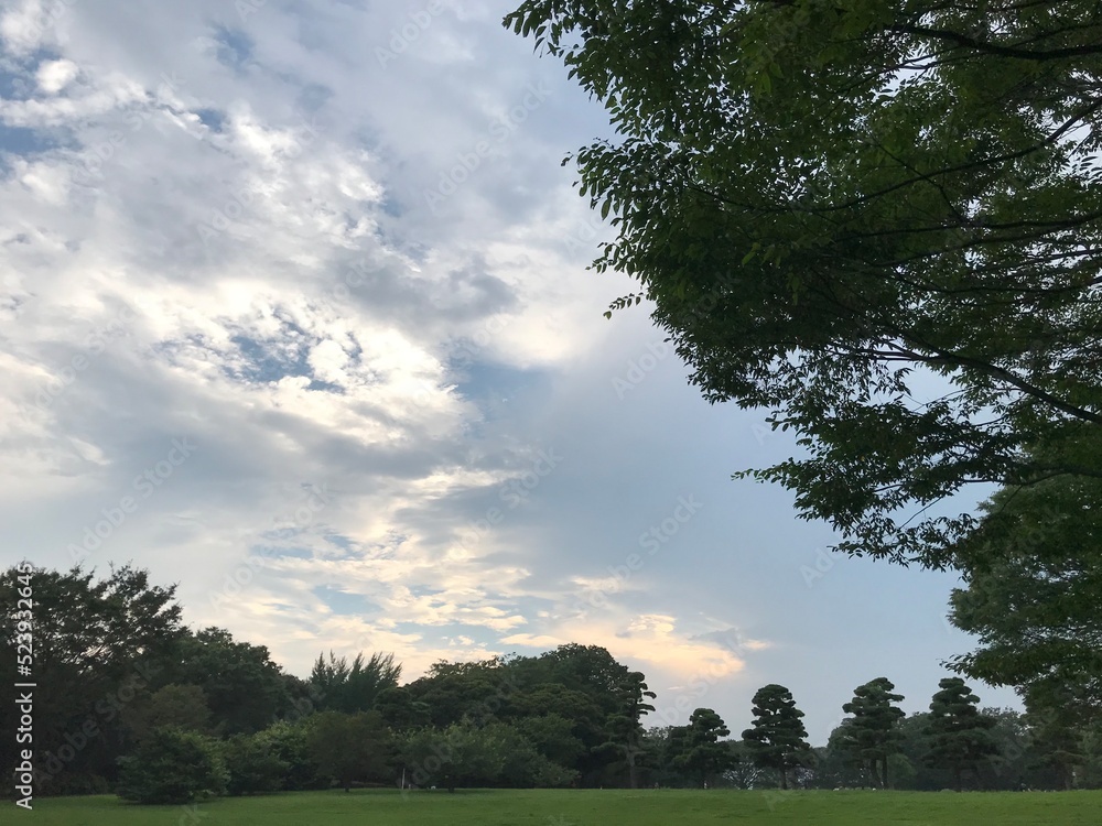 Obraz premium landscape with trees