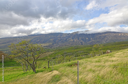 Southeast Maui past Hana on the backside of Haleakala Crater