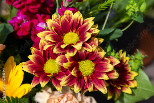 Close up texture background of a group of bright yellow and red chrysanthemum flowers in an indoor florist arrangement 