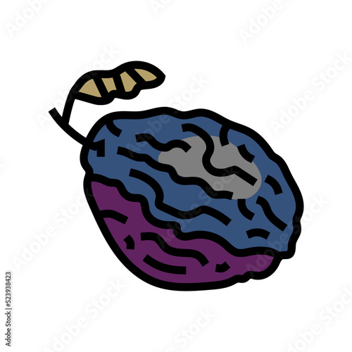 prune plum dry color icon vector illustration