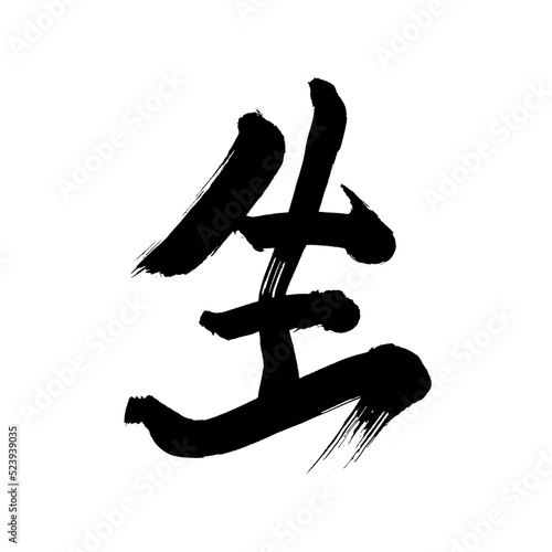 Japan calligraphy art【Raw】 日本の書道アート【生きる・いきる・しん・シン・き・しょう・ショウ】 This is Japanese kanji 日本の漢字です	