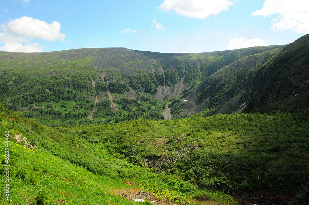 Naklejka premium Intermountain basin with slopes overgrown with dense bushes.
