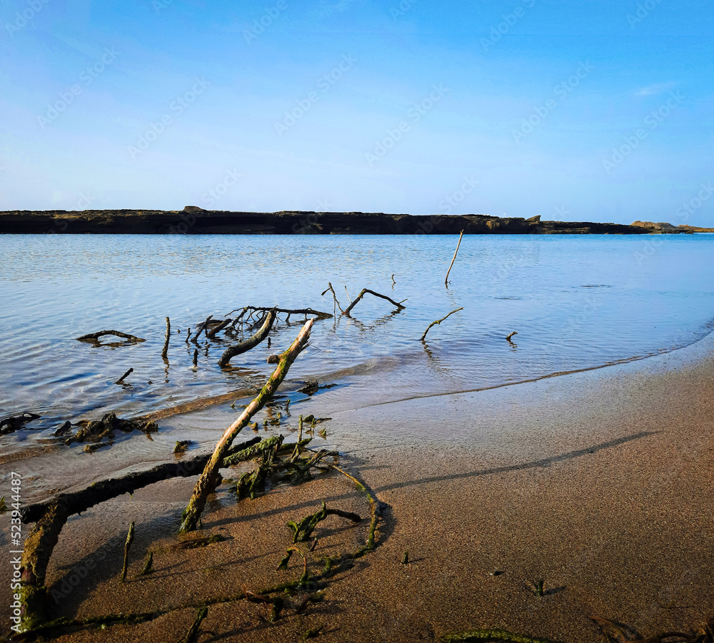 Fototapeta premium beach and sea