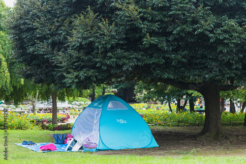公園のテント