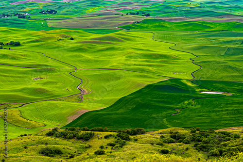 An overview of the farmland known as the Palouse in eastern Washington