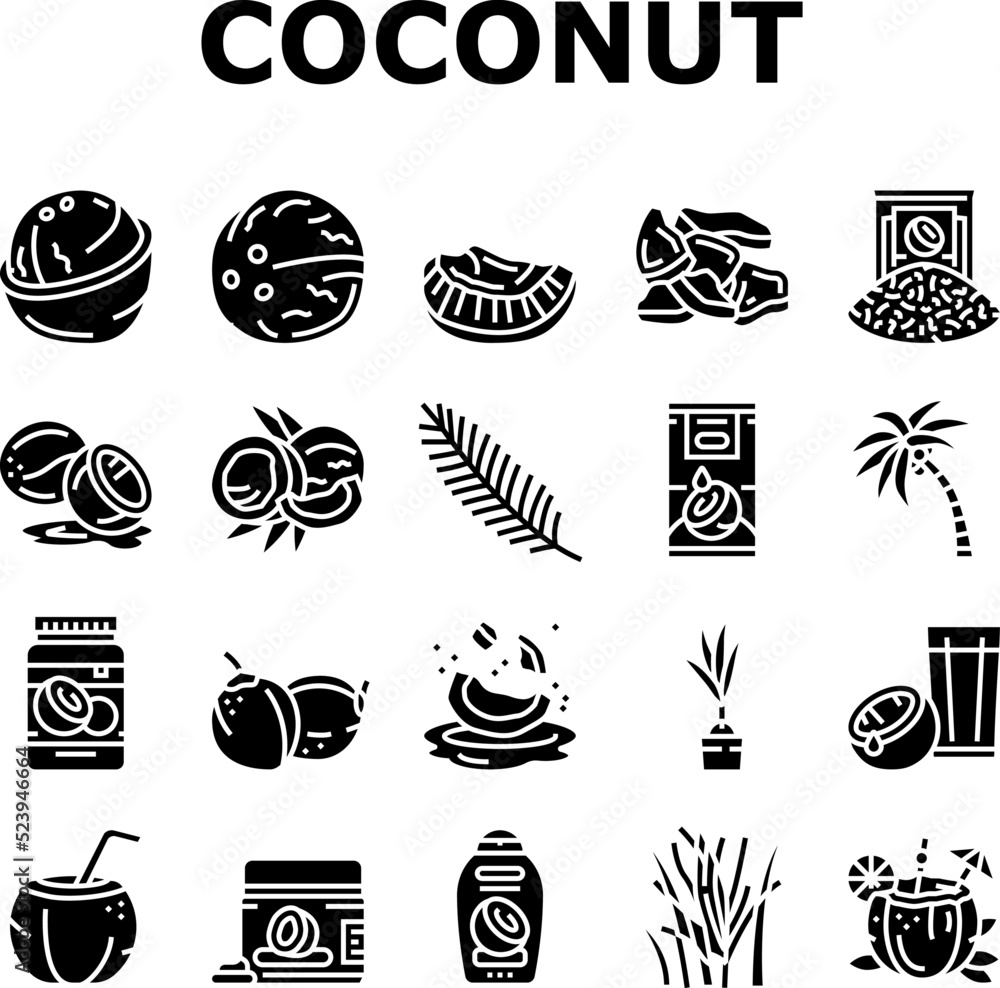 coconut coco fruit fresh white icons set vector