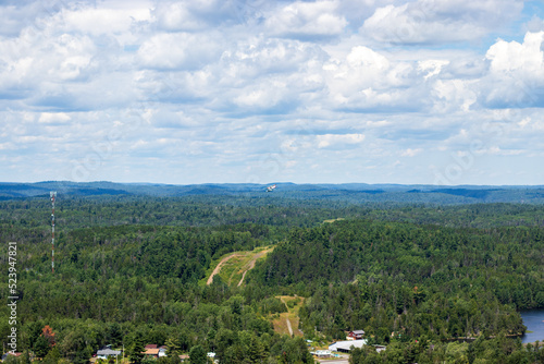 View of Forest from Above