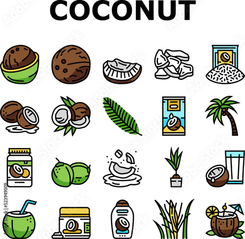 coconut coco fruit fresh white icons set vector