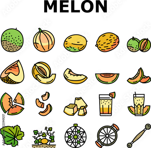 melon cantaloupe yellow fruit icons set vector