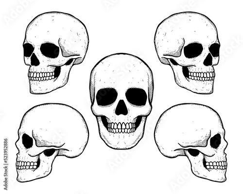 Collection set hand drawn skull vintage free vector
