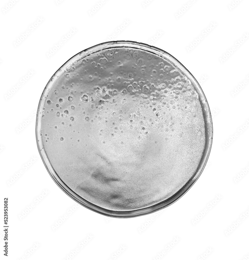 Empty porcelain, top view ceramic plate on transparent background png file Empty porcelain, top view ceramic plate on transparent background png file