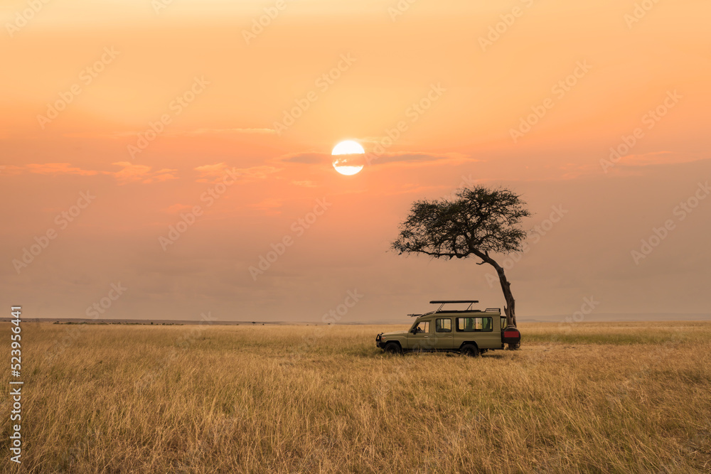 savanna grassland in africa during sunset with safari tourist travel car by tree - obrazy, fototapety, plakaty 