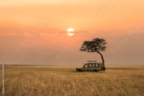 Canvastavla savanna grassland in africa during sunset with safari tourist travel car by tree