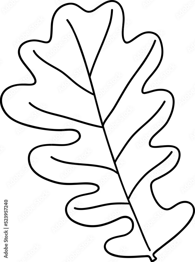 Autumn oak leaves, Autumn or Fall Animal, illustration Autumn oak leaves, Autumn or Fall Animal, illustration