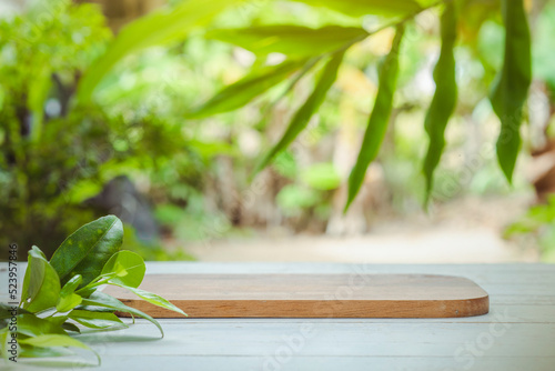 Product stand and natural green background