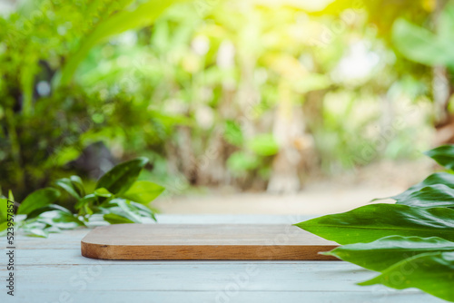 Product stand and natural green background