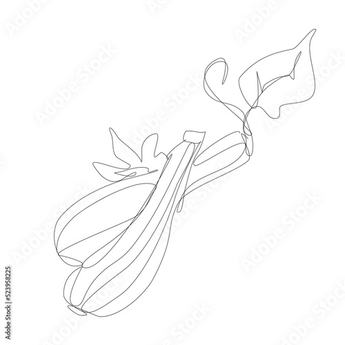 Zucchini or marrow vegetable in continuous line art drawing style. Marrow plant minimalist black linear sketch isolated on white background. Vector one line