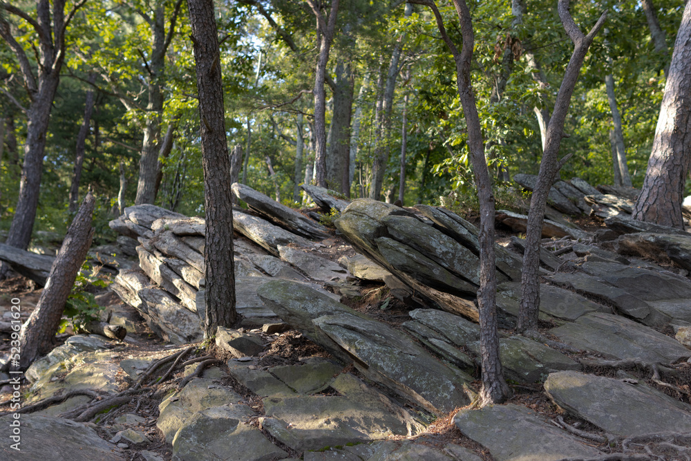 Rock Formations at Weverton Cliffs, Appalachian Trail - Knoxville, Maryland