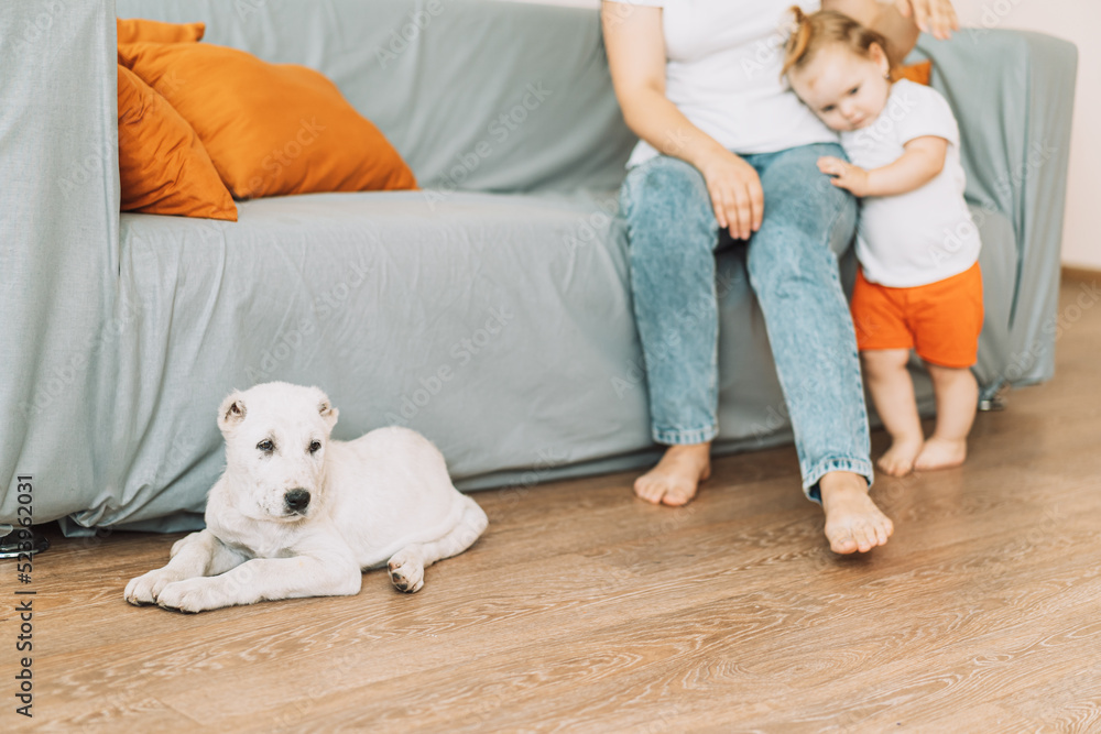 Alabai puppy lies on the floor in front of a girl with a child. Alabai puppy lies on the floor in front of a girl with a child.
