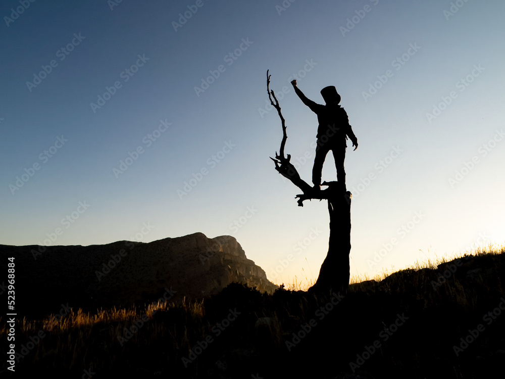 mountaineer successfully climbing a juniper tree
