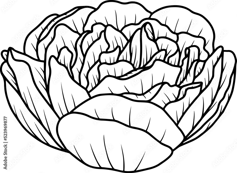 Hand Drawn Flower Sketch Line Art
Hand Drawn Flower Sketch Line Art