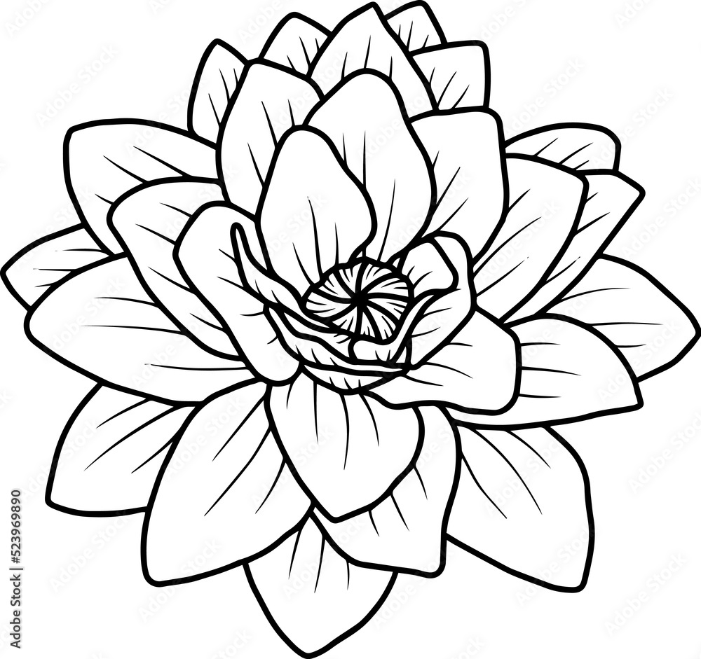 Flower Hand Drawn Sketch Line Art Illustration Flower Hand Drawn Sketch Line Art Illustration