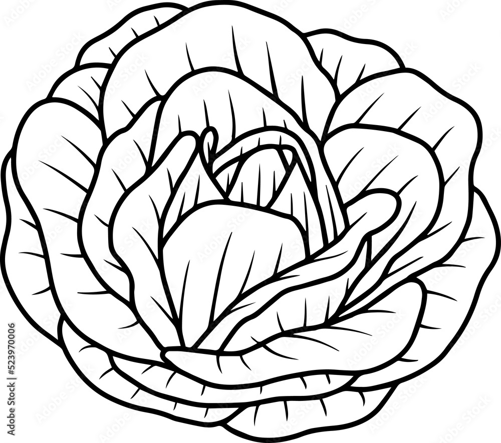 Flower Line Art Illustration Flower Line Art Illustration