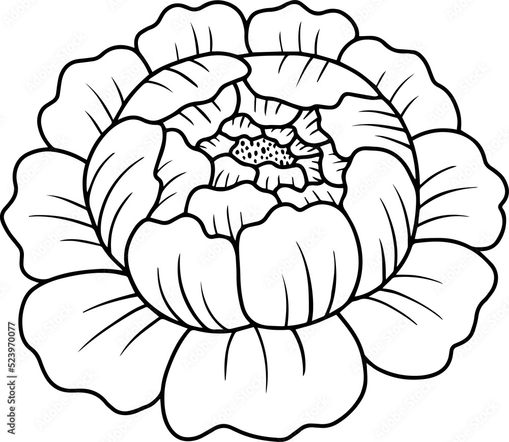 Obraz premium Flower Hand Drawn Sketch Line Art Illustration