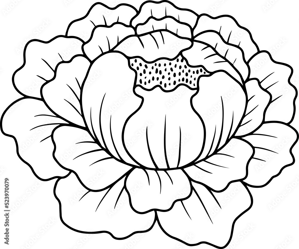Obraz premium Flower Hand Drawn Sketch Line Art Illustration