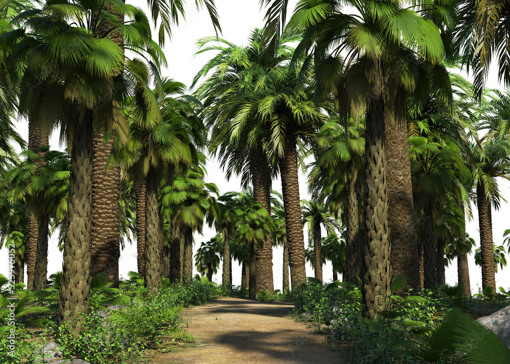 3D Palm trees on island