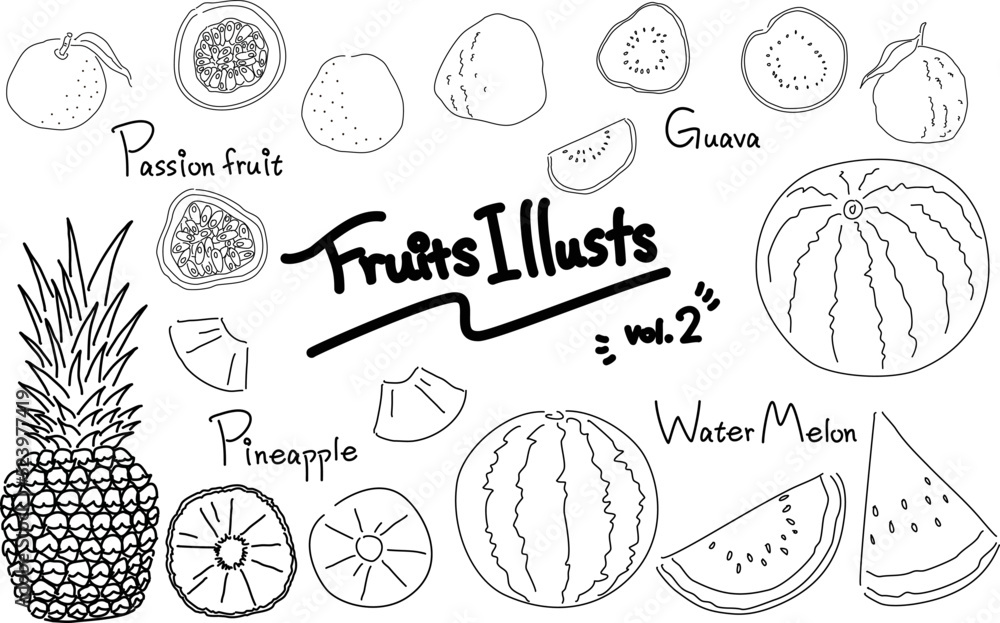 Obraz premium フルーツイラストセット vol.2 線画 