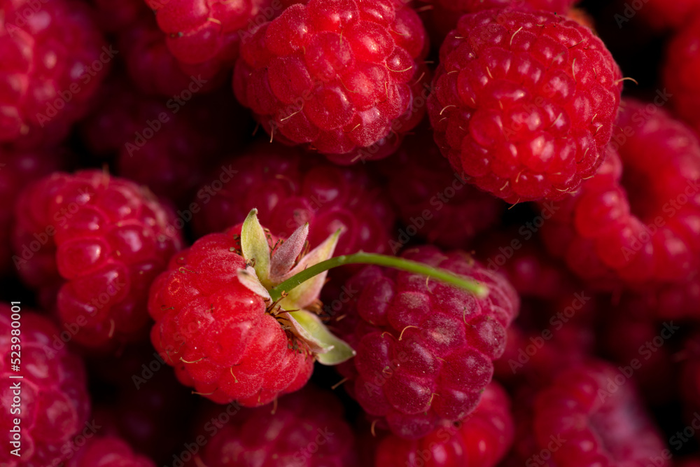 Background of macro berries of ripe and juicy raspberries Background of macro berries of ripe and juicy raspberries