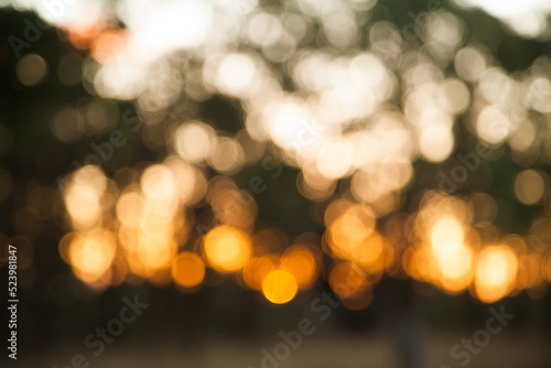 Gold green and white bokeh of a forest at sunset photo