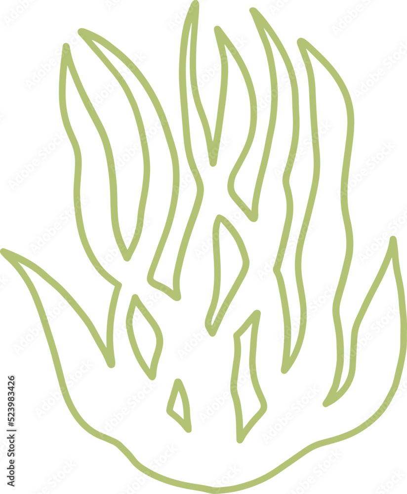 Fototapeta premium seaweed line art drawing