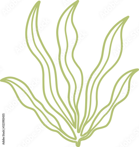 seaweed line art drawing