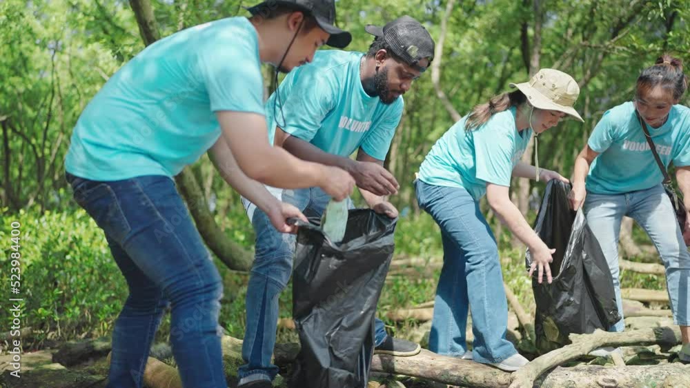 Group of volunteers is helping to pick up waste by garbage bags cleaning in green mangrove forest. CSR activity. Corporate Social Responsibility. Environmental problem. Environment day Group of volunteers is helping to pick up waste by garbage bags cleaning in green mangrove forest. CSR activity. Corporate Social Responsibility. Environmental problem. Environment day
