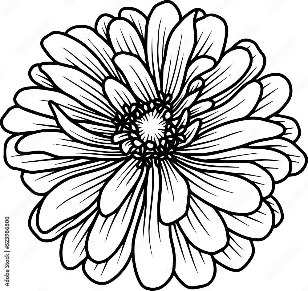 Hand Drawn Margot Sketch Line Art
Hand Drawn Margot Sketch Line Art