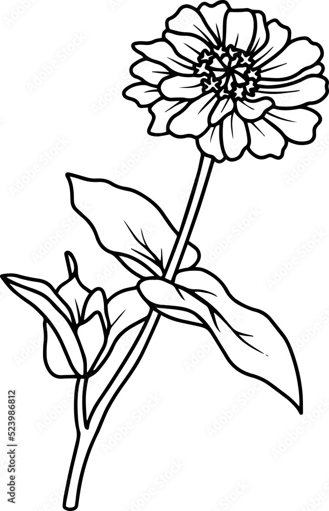 Margot Hand Drawn Sketch Line Art Illustration
Margot Hand Drawn Sketch Line Art Illustration