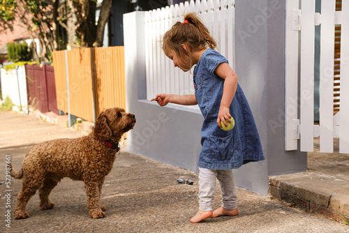 Girl wearing blue dress and grey pants, barefoot talking and offering treat to a brown poodle dog photo