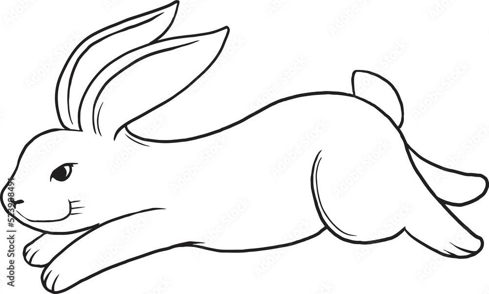 Obraz premium cute rabbit line drawing